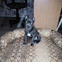 ���� ������, �����-���������, 52 ���� - ��������� 12 ������ 2018 � ������ ������ ��������