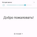 ���� �����, ������, 42 ���� - ��������� 13 ������� 2018