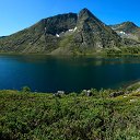 1.  - ,    .         ...     -  