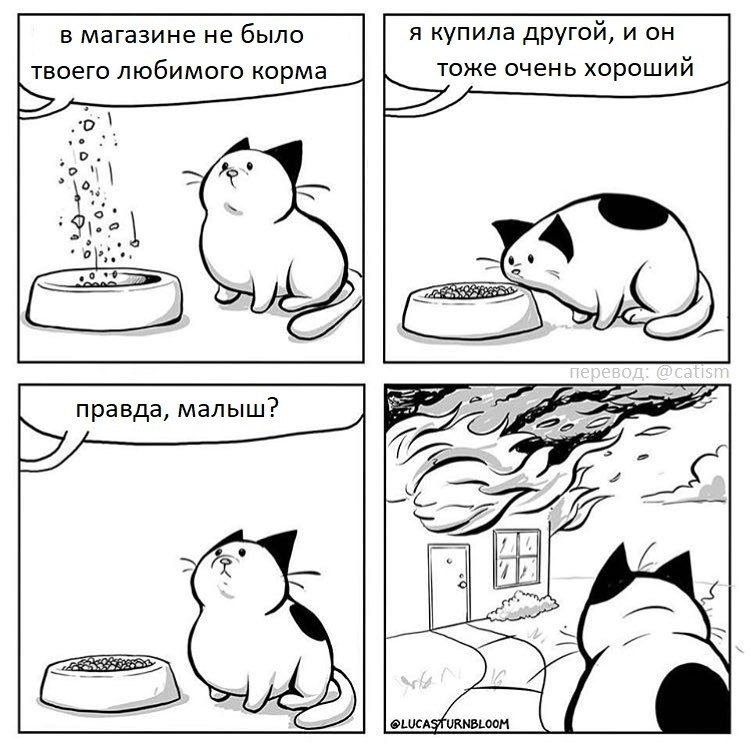  - 18  2018  02:44