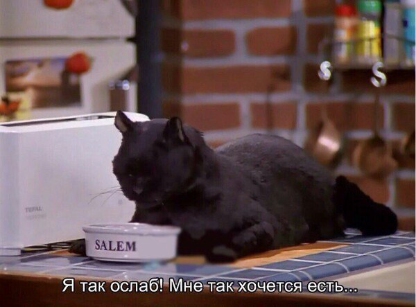   :   - 2