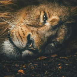���� Abdo, ����, 26 ��� - ��������� 23 ������ 2019