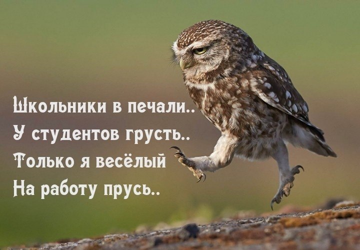 ~