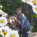 ���� �������, �����������-��-�����, 51 ��� - ��������� 22 ���� 2018 � ������ ���� ����������