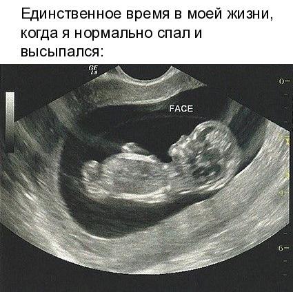   - 13  2018  16:43