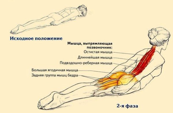 ВСЕГО ОДНО УПРАЖНЕНИЕ ДЛЯ КОРОЛЕВСКОЙ ОСАНКИ. Сутулость – это не только эстетический недостаток. ...