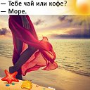 ���� ����, ������ - ��������� 17 ���� 2018 � ������ ���� ����������