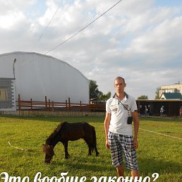 �����, ������� ��������, 41 ���