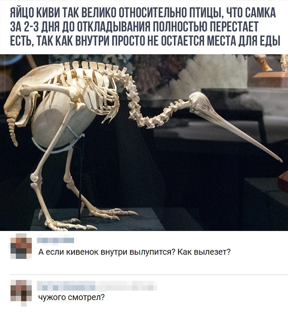    - 17  2018  16:50