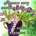 ���� ����, ���, 51 ��� - ��������� 18 ������� 2019 � ������ ���� ����������