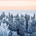 ���� ���������, ������ �������� - ��������� 21 ������� 2018 � ������ ������ ��������