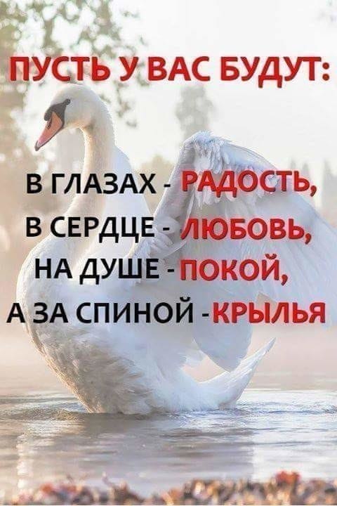   - 14  2018  07:38