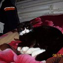 ���� ������ �������, ������������, 56 ��� - ��������� 8 ������� 2018 � ������ ���� ����������