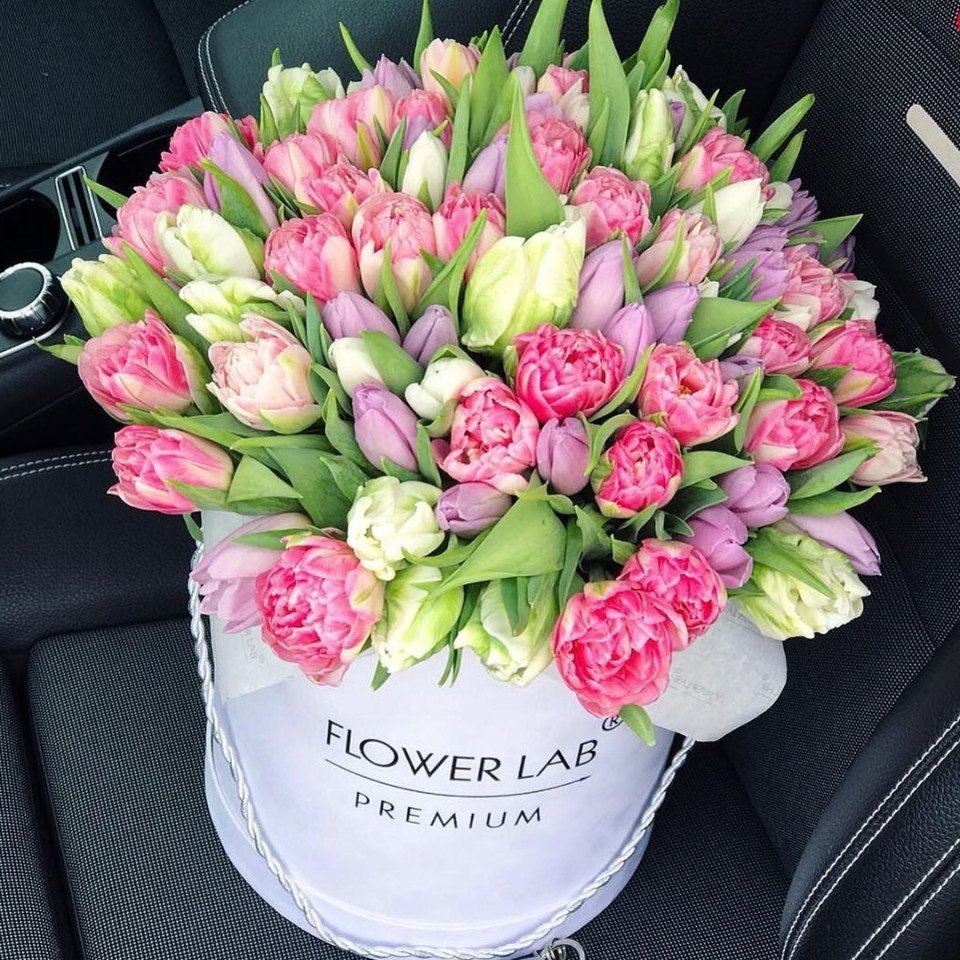  https://fotostrana.ru/away?to=/sl/39o2 labflower - 7