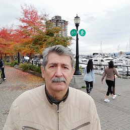 ������, ��������, 71 ���