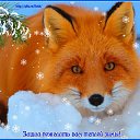 ���� �������, �����������, 49 ��� - ��������� 3 ������� 2018