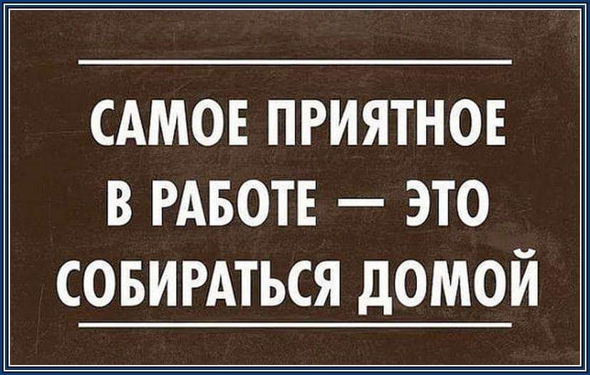  - 13  2019  11:59
