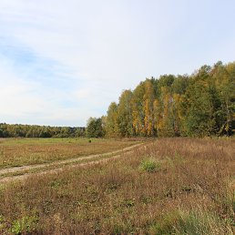 Vladimir, �����, 55 ���