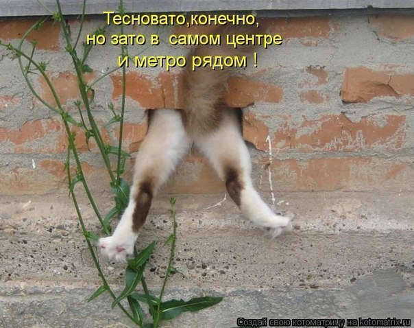  Ѩ  - 15  2019  09:38