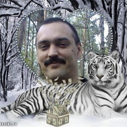 �, ������