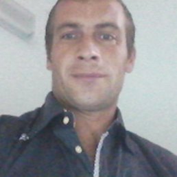 ����, �������, 41 ���