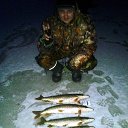 ���� �����, ��������, 37 ��� - ��������� 25 ������ 2018 � ������ ���� ����������