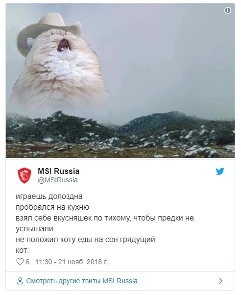       MSI    Twitter   ...