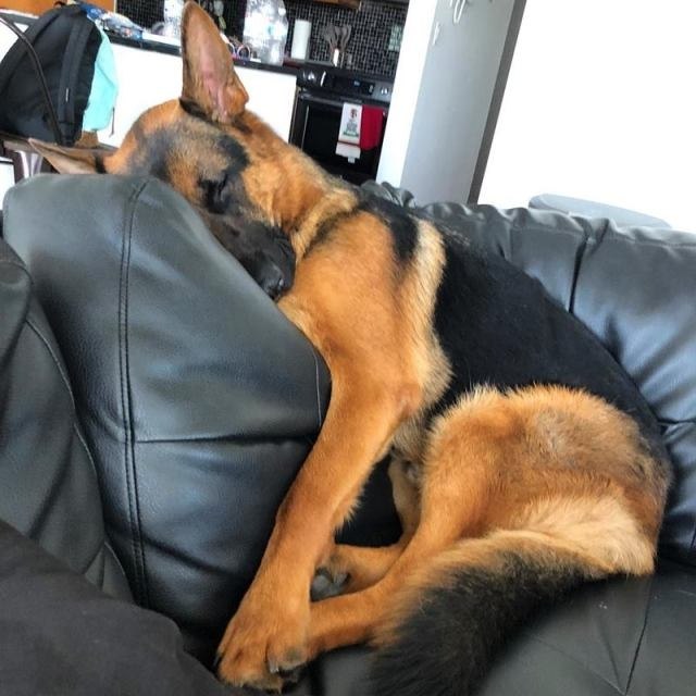 ������ � �������