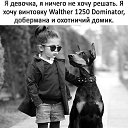 ���� ����, ������ ���, 41 ��� - ��������� 23 ����� 2019 � ������ ������ ��������