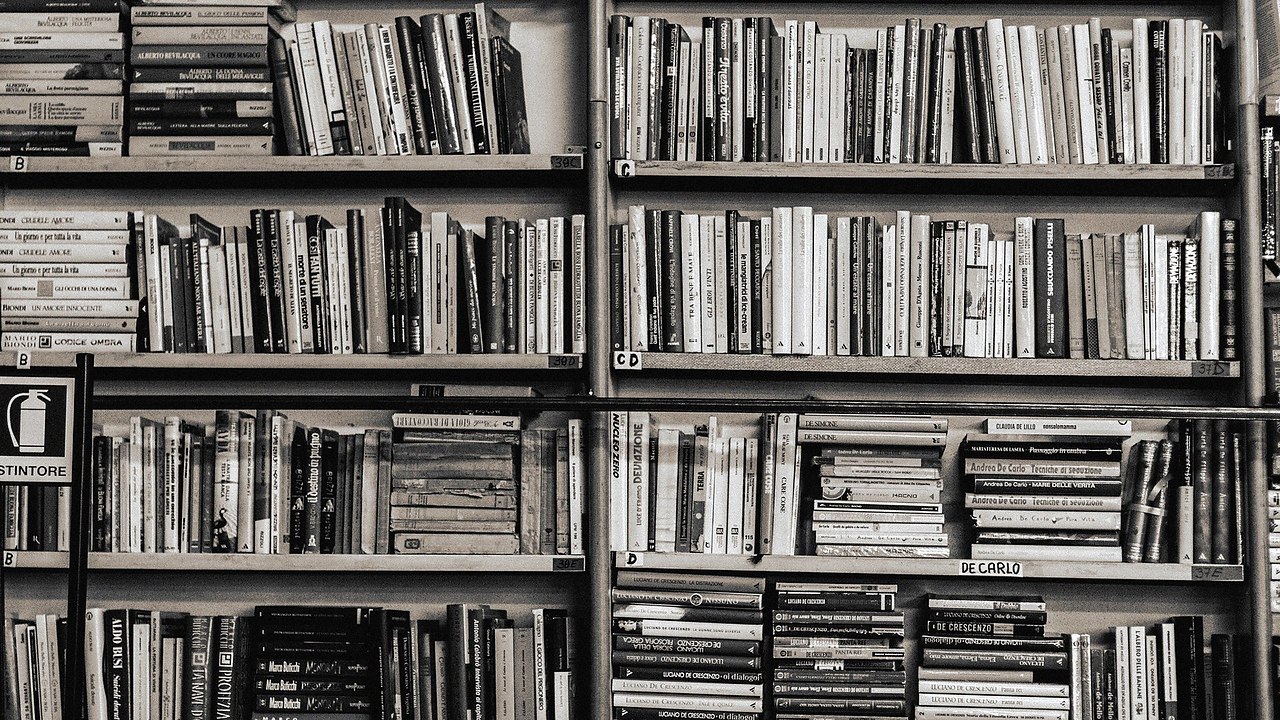 ТОП-7 книг для начинающих предпринимателей.1. David Lester. “How They Started” Эта книга об ...