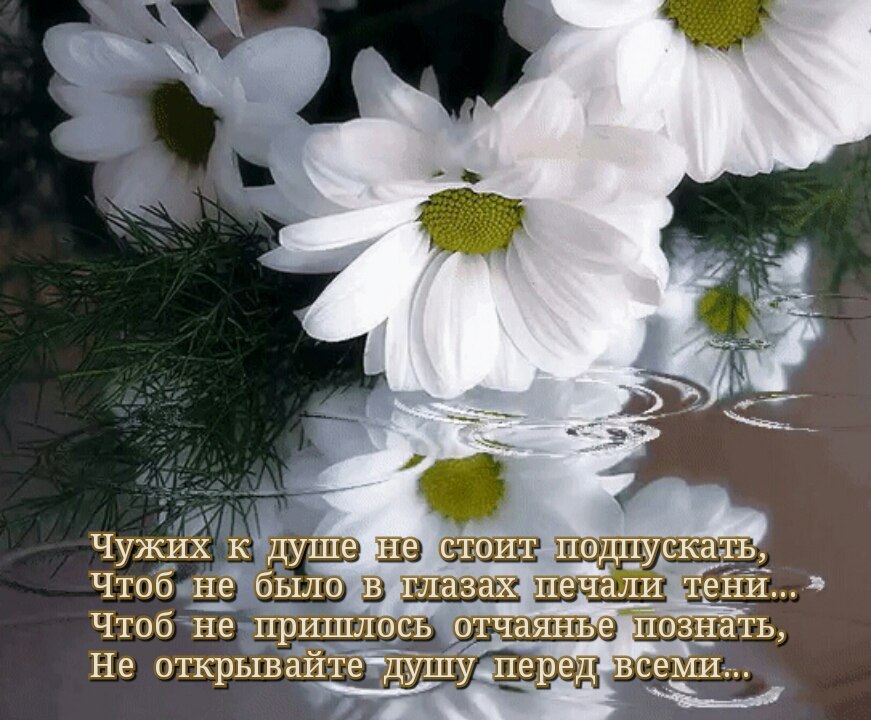  - 10  2019  22:33