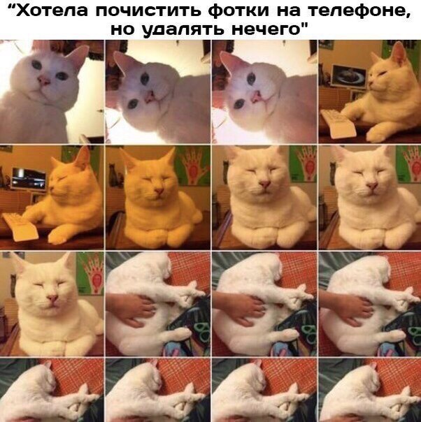    - 10  2018  16:19