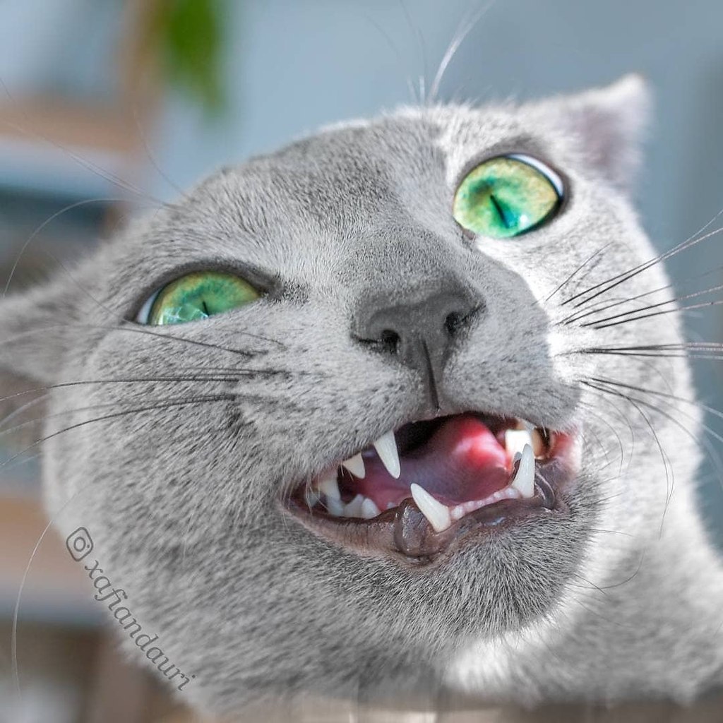      - 3