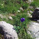  , , 46  -  20  2018     "" ( 2018)