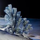 ���� �����..., ����� - ��������� 16 ������� 2018 � ������ ������ �������.�
