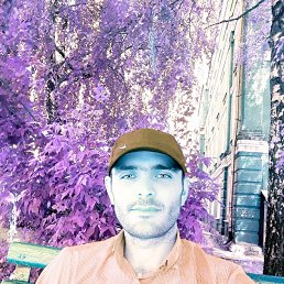 Ikrom, ������, 36 ���
