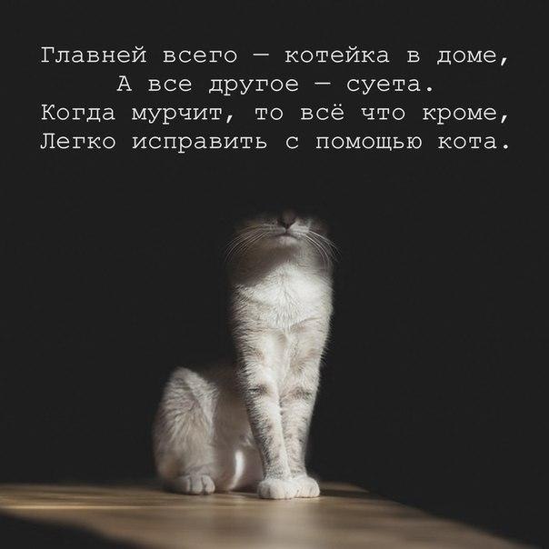    - 11  2019  17:12