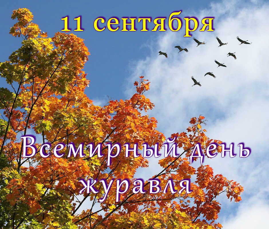 C - 11  2018  09:47