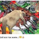 ���� ������, �����������, 49 ��� - ��������� 26 ���� 2018 � ������ ���� ����������