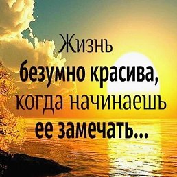 ���� �����, �������� - ��������� 15 �������� 2018