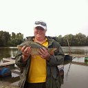 ���� �����, �������, 52 ���� - ��������� 23 ������� 2018 � ������ ���� ����������