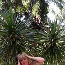 ���� �����, �������, 64 ���� - ��������� 7 ����� 2019 � ������ ������ ��������