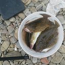 ���� �����, �����������, 40 ��� - ��������� 20 ������ 2019 � ������ ���� ����������