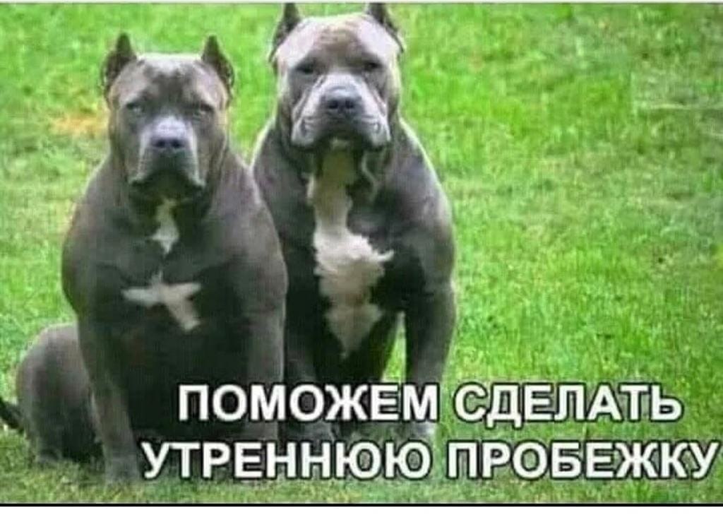 -  - 8  2019  20:47