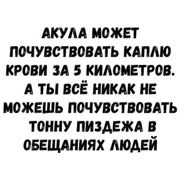  - 26  2019  05:35