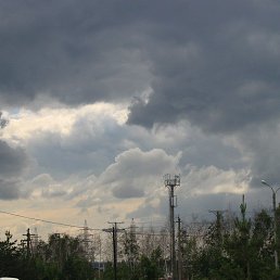 ���� ������, ���������, 36 ��� - ��������� 13 ������� 2019