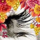 ���� ���������, ������-��-����, 55 ��� - ��������� 8 ������� 2018 � ������ ���� ����������