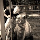 ���� �������, ������, 37 ��� - ��������� 23 ������ 2019