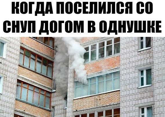 Четкие приколы - 6 декабря 2018 в 17:07