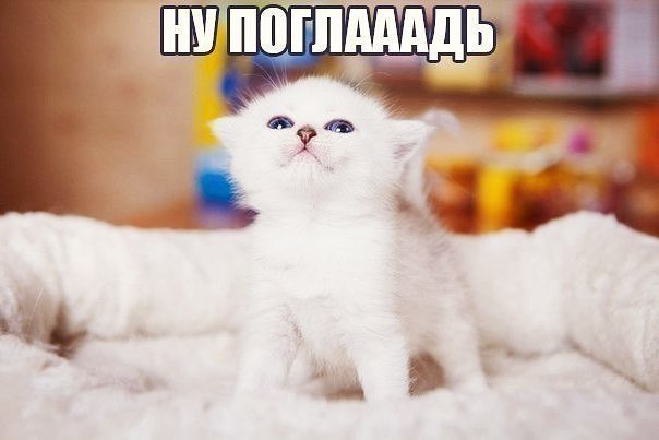    - 25  2018  16:33